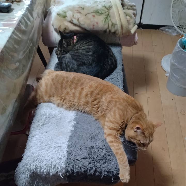 2bd63f92 5d68 474e aa9f 9c8d3b3a6d76 1667260378608