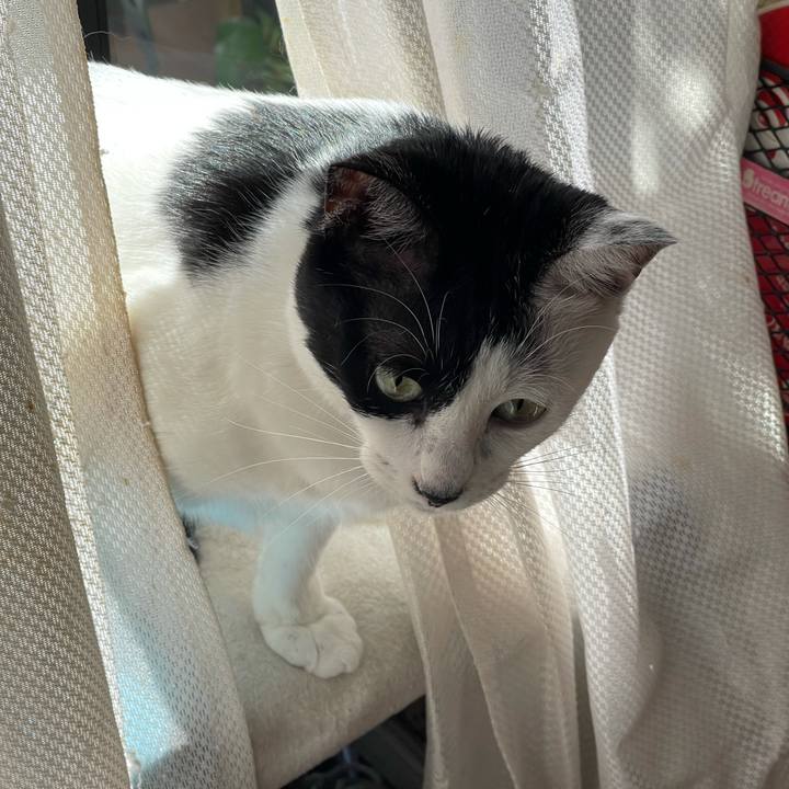 2bd64533 0e52 4147 bf9d 8479c9f963bb 1632103955212