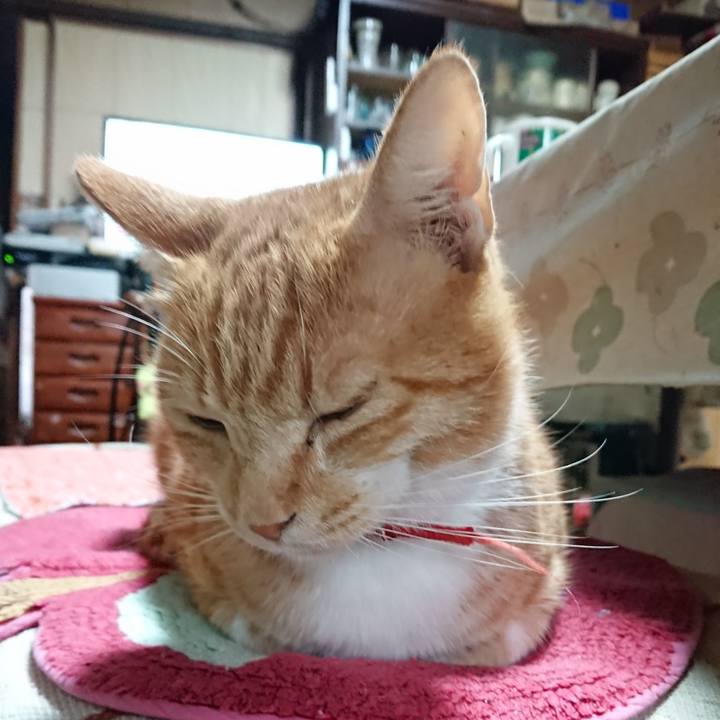 2bd6478c f37f 4a3b a207 dd807ae223ca 1569532136948