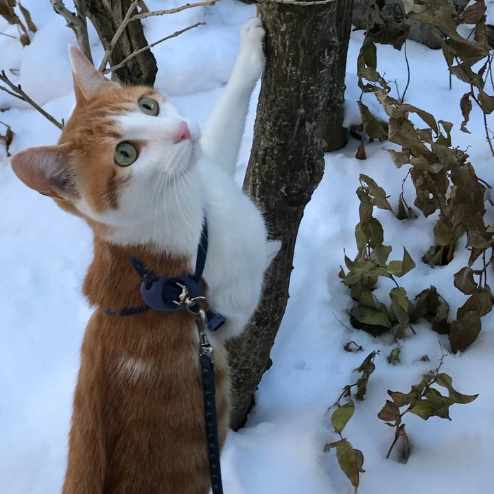 2bd750b5 f539 4b9b ab7b 7e617911232b 1514436187606