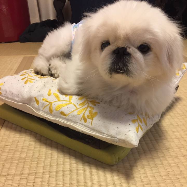 2bd75b79 9120 4aa1 a436 16cb9c24578f 1509804331078