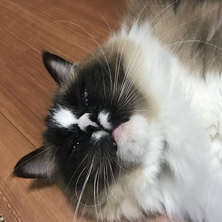 2bd79c8a 9ad6 41af a8bc c352af9a33cb 1519473255921