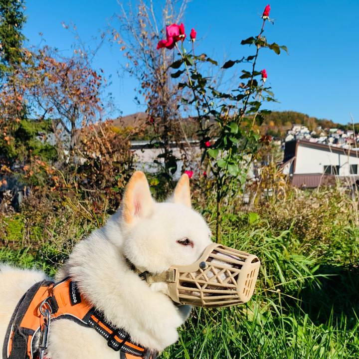 2bd7b1d5 a423 4ea5 aaf7 ff8fd0a1ff62 1666745199153