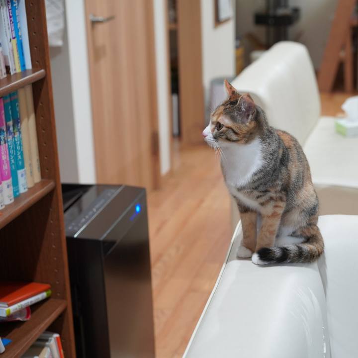 2bd7b4a7 1439 4d96 aae7 6a742fd59193 1579737393908