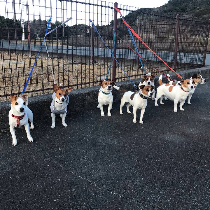 2bd7e287 6843 433e 8340 7da7592b14ef 1583398732584