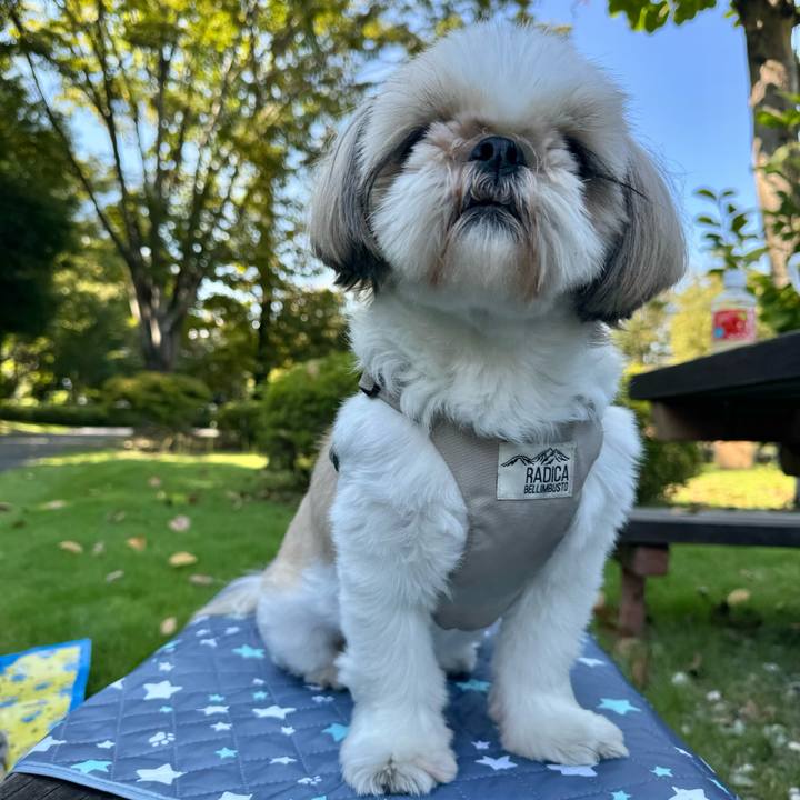 2bd80ed5 4102 4197 9ad0 2824899a898b 1728914665306