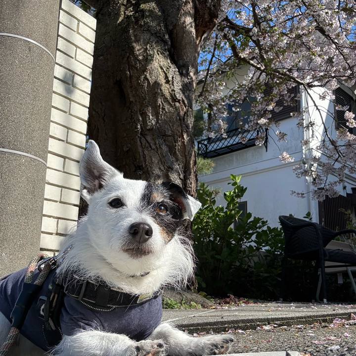 2bd815c9 100b 426c ac76 f8900860feb2 1775174913469