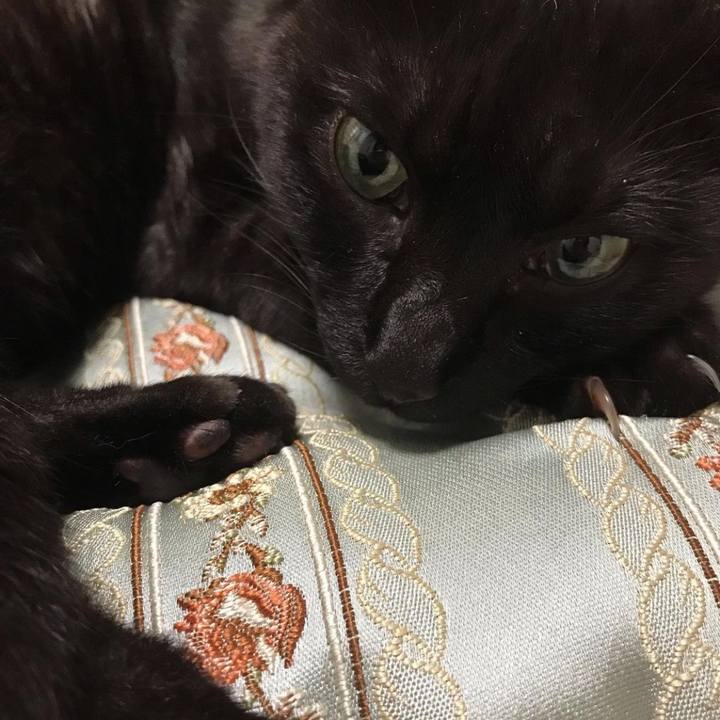 2bd83898 43f5 4c02 9d14 a992313269cf 1628809347166