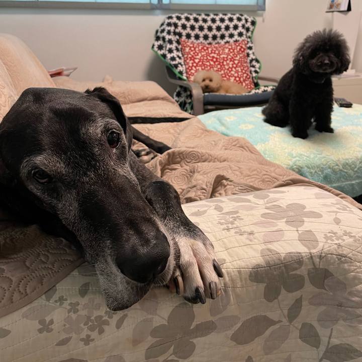 2bd83cef f0aa 47ba 8107 5b246686b272 1626129180240