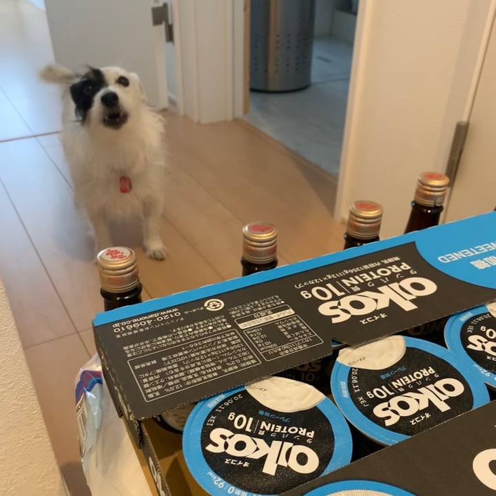 2bd84968 e544 4b10 93a7 6ccc62325c24 1589256913386