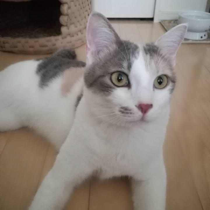 2bd84977 724b 4b1a b5fd 5bd4e5a93f4b 1529574537649