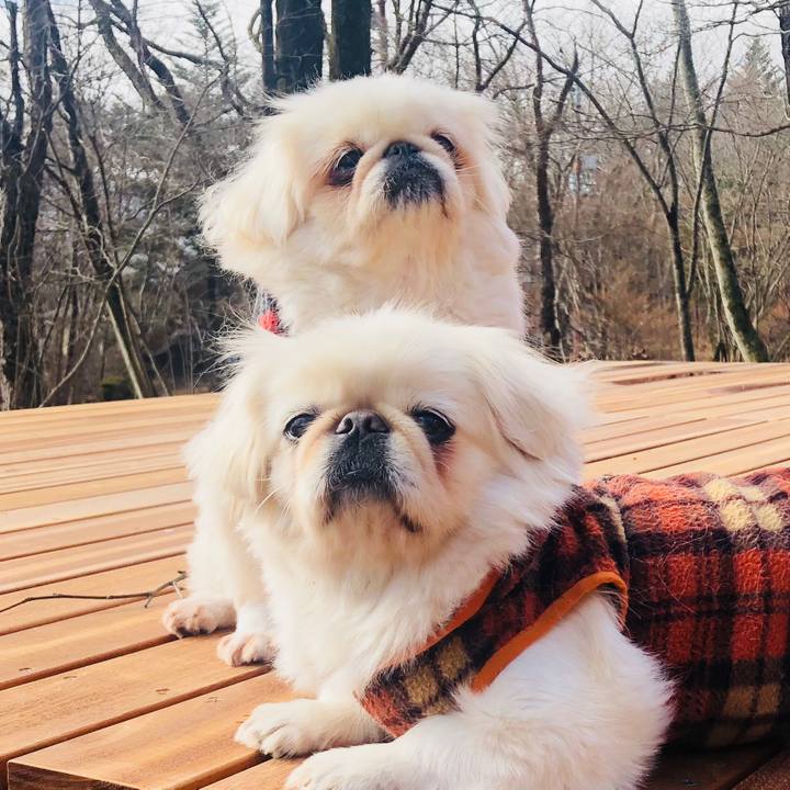 2bd85060 ea42 42c3 9463 547a2963ba83 1574508930164