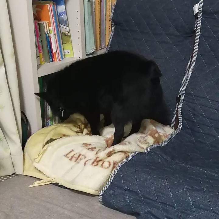 2bd864ce 7752 43bc 8d35 e5dd214a072b 1619611879176