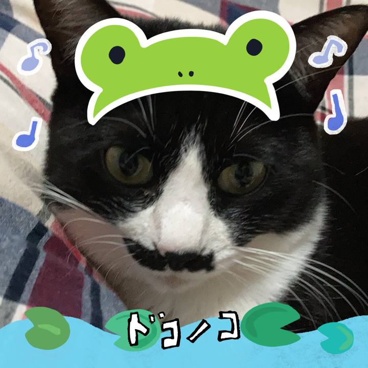 2bd87cfe f2e4 4cd1 a07d 9644953f403f 1717570046783