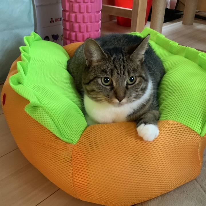 2bd88176 b34d 457a b0b5 5750882744b0 1757741528409