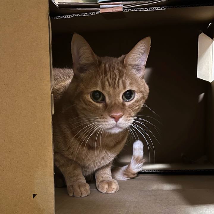 2bd8bf97 6e5f 4133 8d43 a6a8a5942305 1763105287370