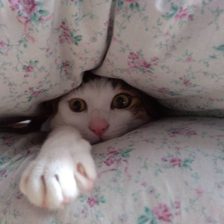 2bd8c104 e4db 4d1f b068 3395edddae61 1653297344902