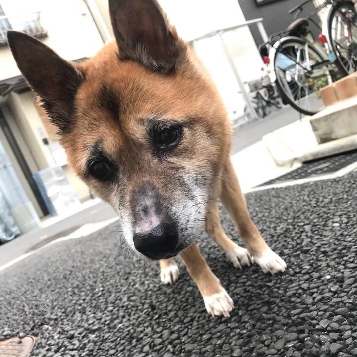 2bd900fb 0c18 4150 9f1f ab06ee468235 1552944945245