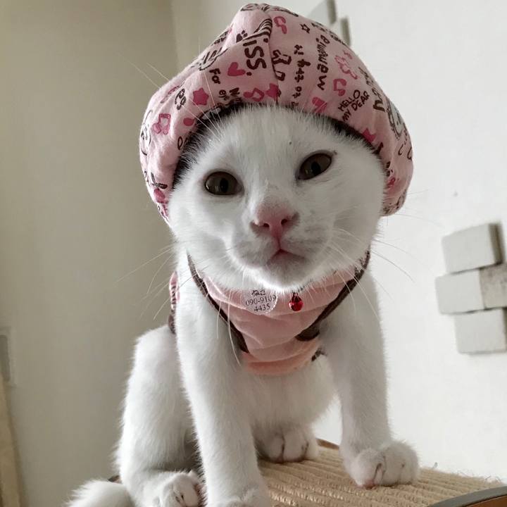 2bd91ed0 3948 4ba6 be2d 259eae0fc253 1569471328815