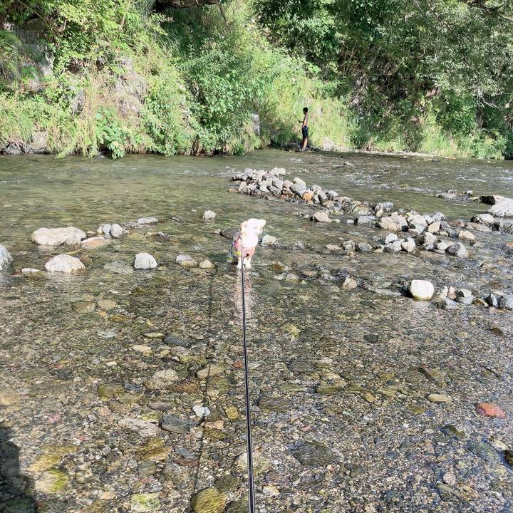 2bd92bd6 1f1c 47a5 af4b 195d85c2fc8e 1723727174572