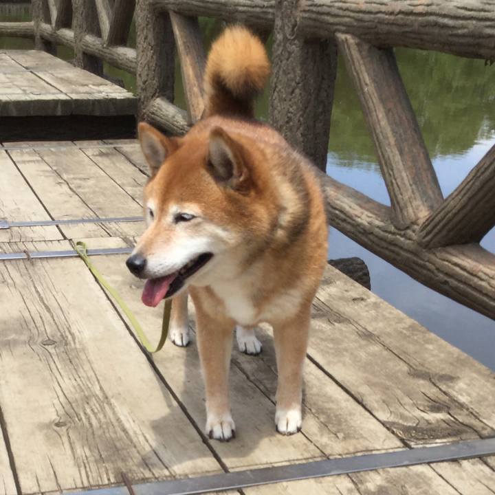 2bd92cb3 bd74 4709 927f 13bf3dff4805 1592383727917