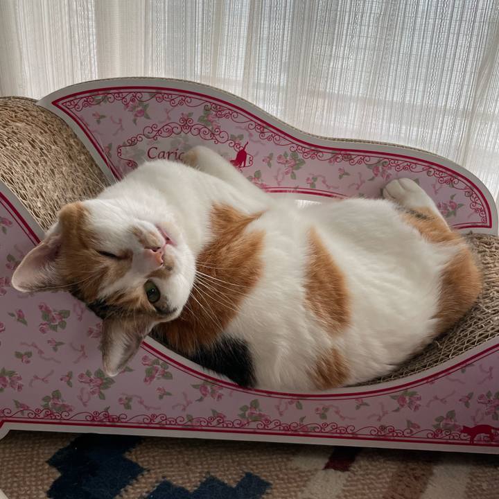 2bd950dc 1a36 4b97 ae12 4a59a6b16c71 1654921974723