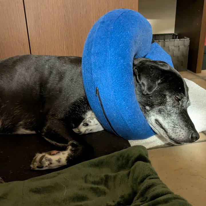 2bd9777e 3a61 4caa b33c 0adc85026d35 1772715730092