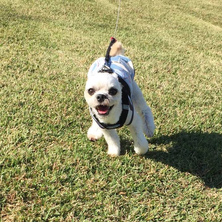 2bd99700 e7bf 44fb 8a13 fec4b9b8179f 1540797269630