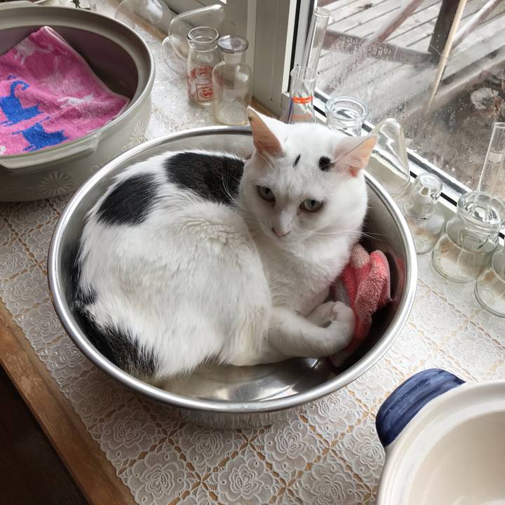 2bd9dfaa 329a 4d27 9ddc 1a129db1c255 1588022746940