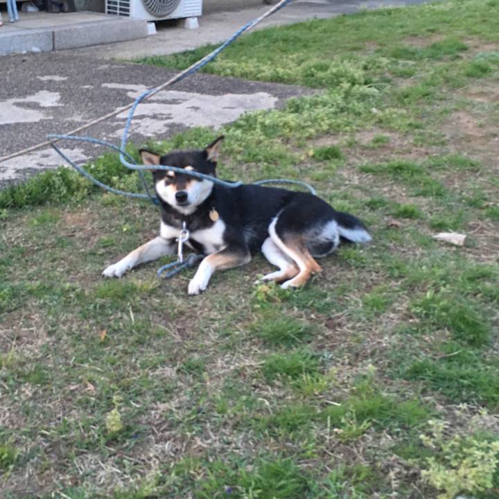 2bda48be 0cdf 49cf bd8e 743129f8df7a 1524408795928