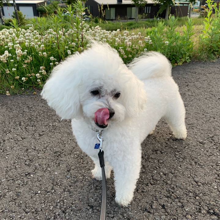 2bdaa5bc 0edc 46f3 8a8c 188ae01c1c15 1625974724161