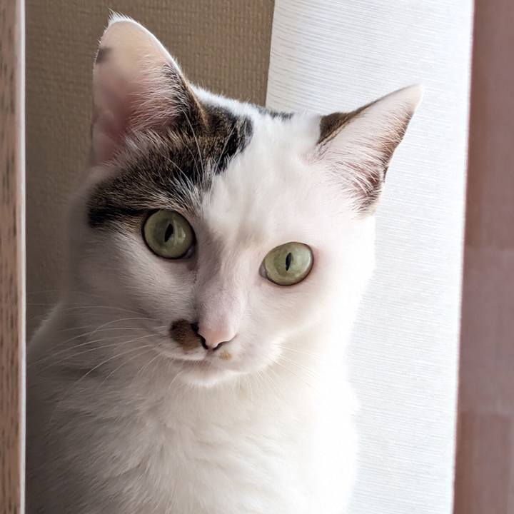 2bdac5af 6ed9 46a6 976b 208e4214d3d7 1723761707358