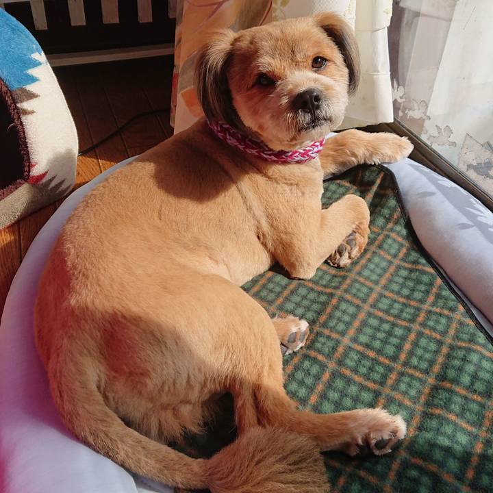 2bdadcbf 0995 4b78 b1df 432bfaebe40b 1550455608868