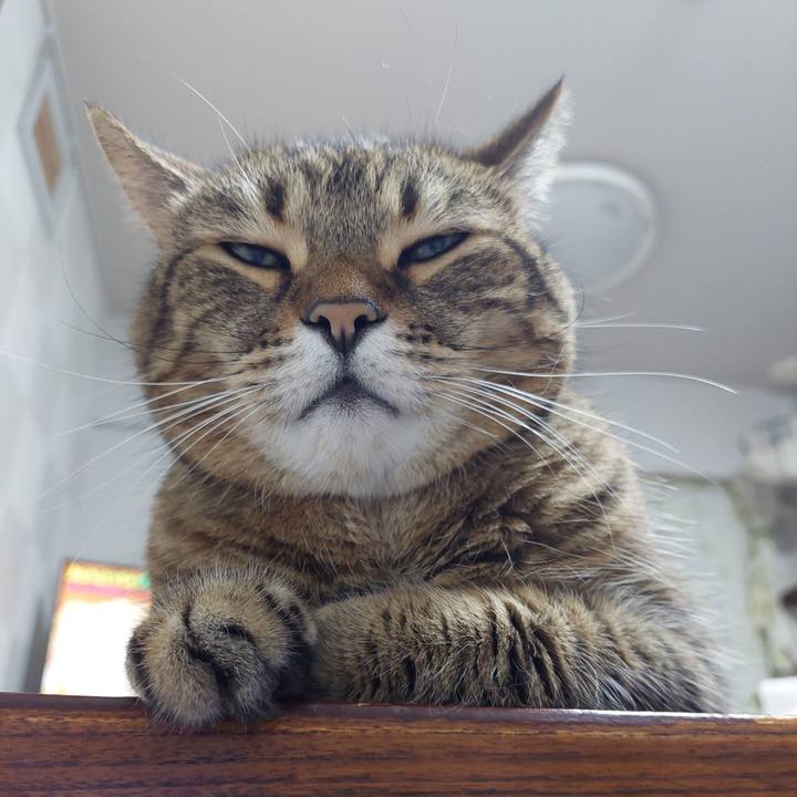 2bdb191c b1a0 4631 8135 bb35f32cac41 1634213614181