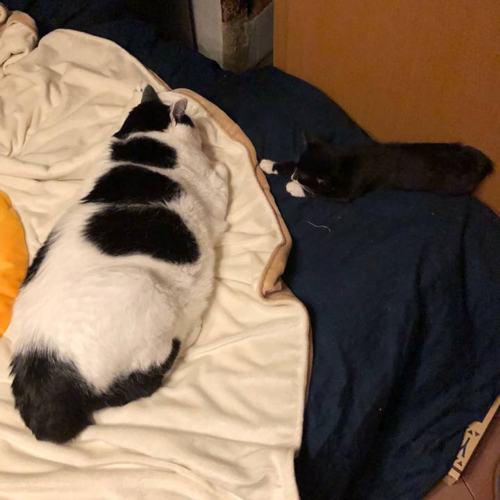 2bdb194c b68e 41e8 ba32 fc6923b32d9d 1538057268167