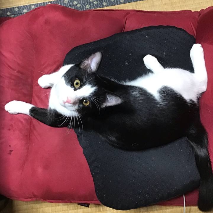 2bdb1f47 ded9 475d ade4 c20f43f608d5 1632648090349