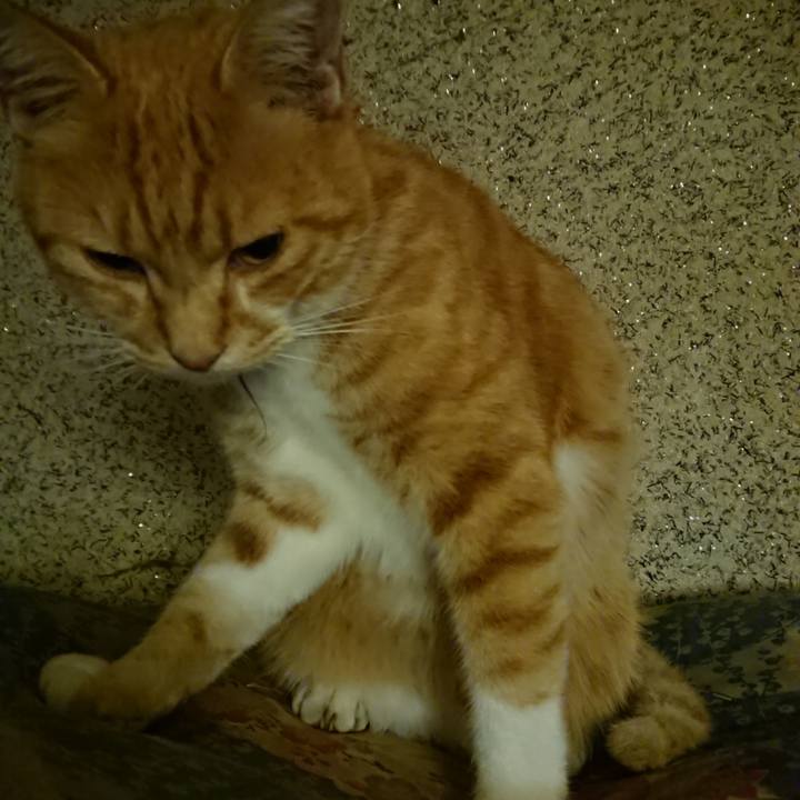 2bdb4634 7d59 41ef 88b0 b27b9624b614 1602074919823