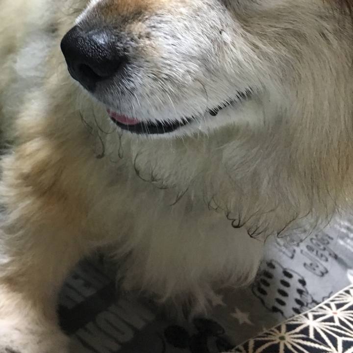 2bdb512e 9696 4dd8 aef9 9afecac48b5c 1595170633342