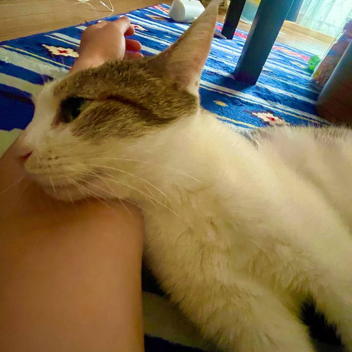 2bdb524a 34ec 4ddd 8163 4b9afc1fc40b 1626152242150