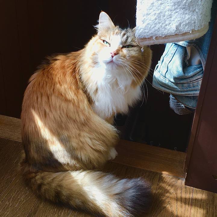 2bdb537b 9096 4cb1 a232 a9dd95aaf383 1615444537274