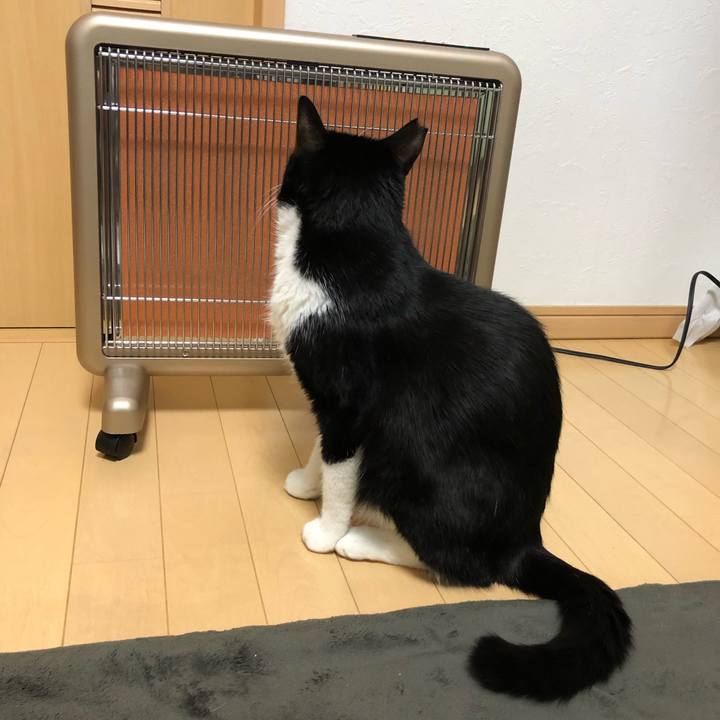 2bdb7848 e033 484b bb47 fa6a4f30b730 1543251013754