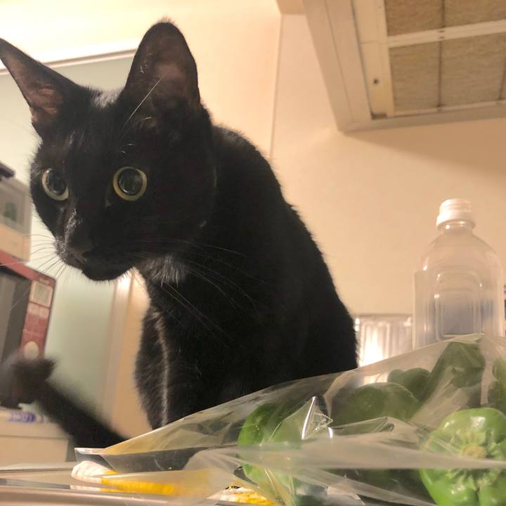 2bdbb2a4 4f34 47fd adfc 254b5c2cd50e 1570629176664