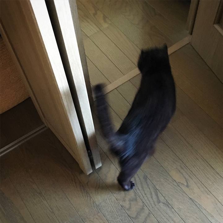 2bdbc88e a3b5 43f5 a2cb 700240d043b2 1526278443594