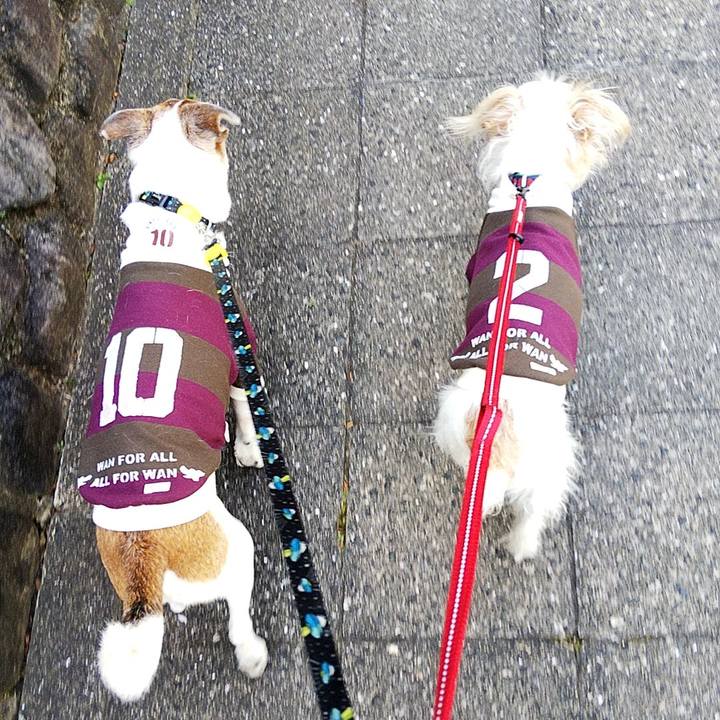 2bdbe962 35ab 4759 a1a5 f36cedbe1db9 1584772871627