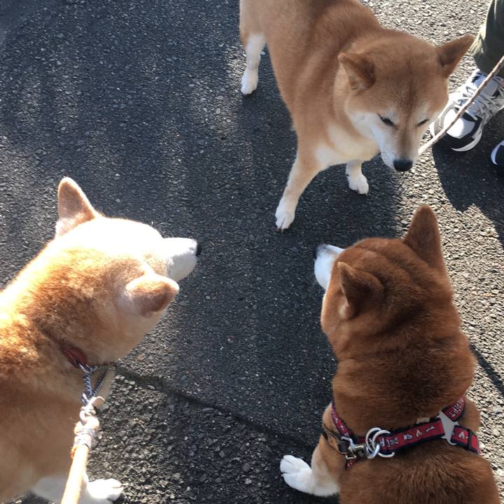 2bdc0af9 ebba 4e9b 8f6e 244212116b30 1527896856318