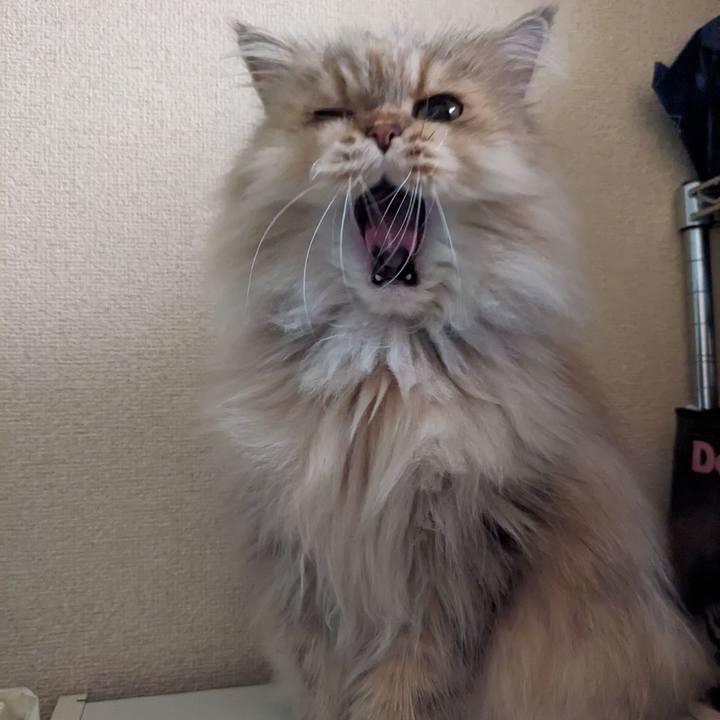 2bdc2a56 2eba 466c 81ac 5d8db58d6954 1698152346583