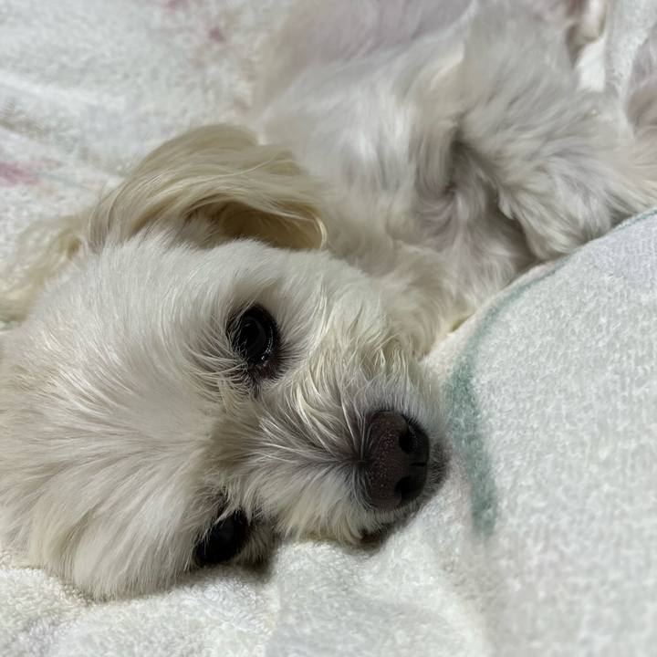 2bdc3e6f 421c 4ffb 9a9b 5810b0615a6e 1665235641514