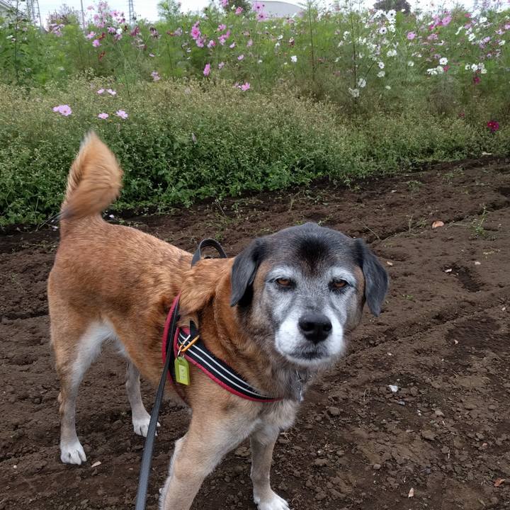 2bdc716e 65d7 4f17 b007 4a58ea12db68 1543281617695