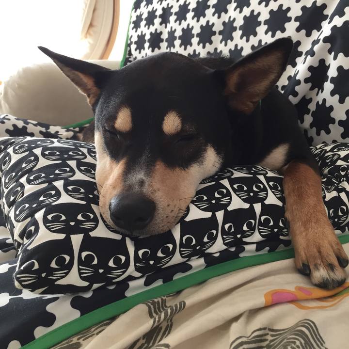 2bdc88cf 1e48 4a3b 9286 5c38a6139165 1520303608196