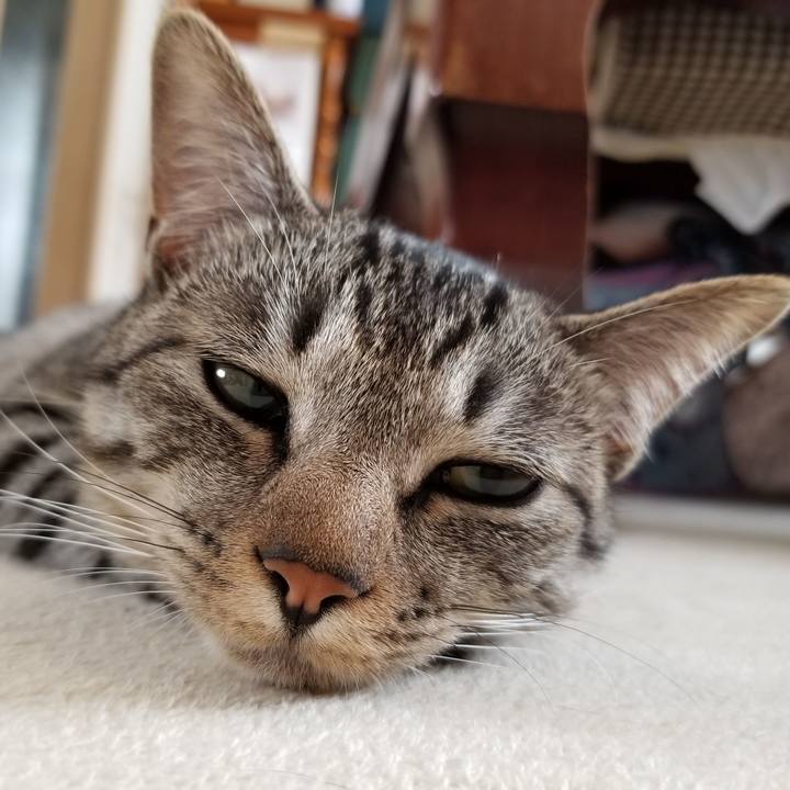 2bdc948c 36e8 4d99 809b 4a1acbbdc38d 1679618473114